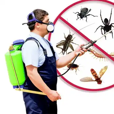 pest control Brownsdale